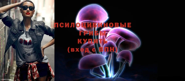 ПСИЛОЦИБИНОВЫЕ ГРИБЫ Зеленокумск