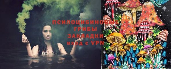 ПСИЛОЦИБИНОВЫЕ ГРИБЫ Зеленокумск