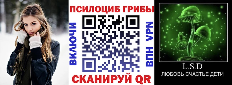 Псилоцибиновые грибы Psilocybe  Купить  Ливны 